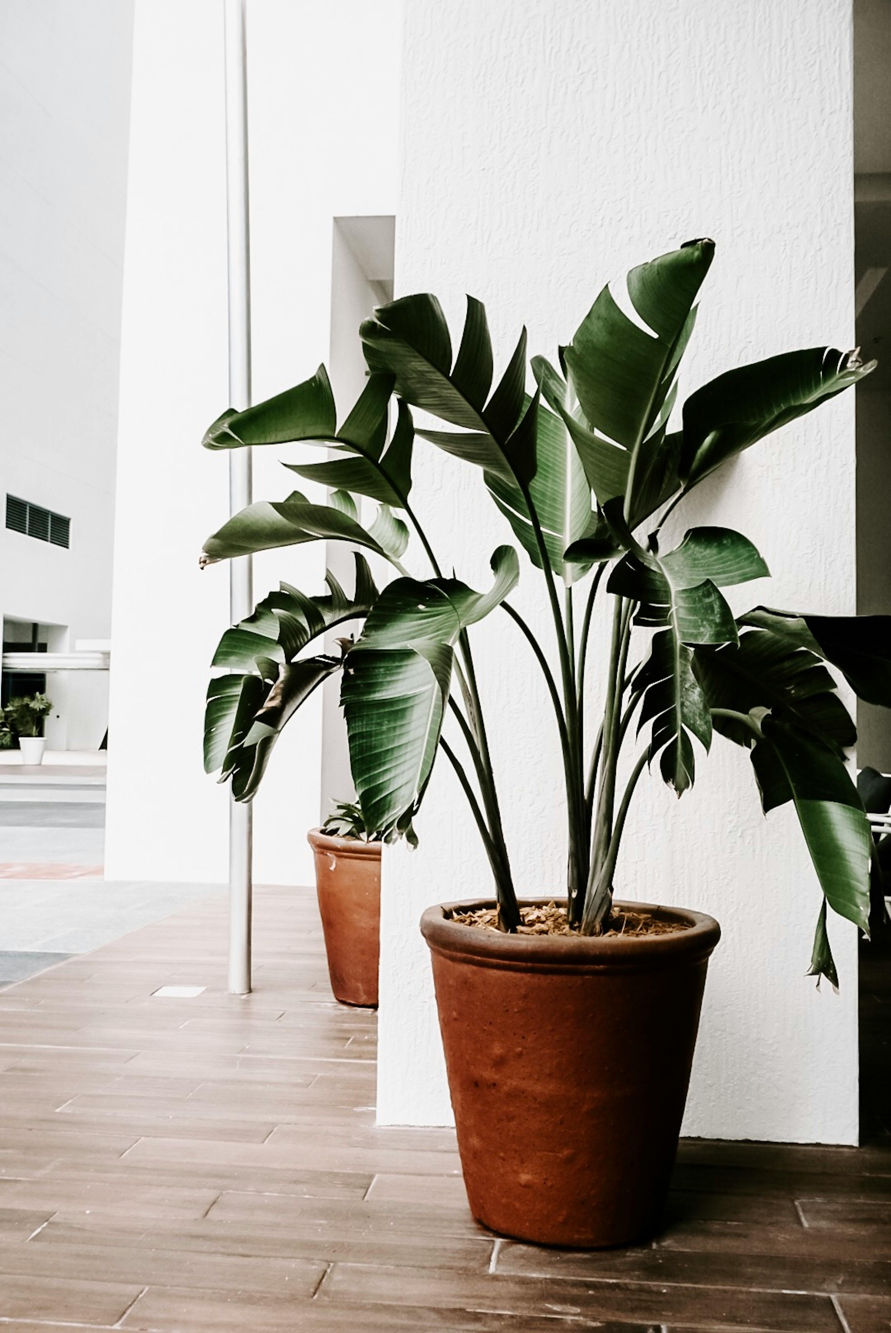 The Art of Curating a Premium Home: Why Décor is More Than Just Design